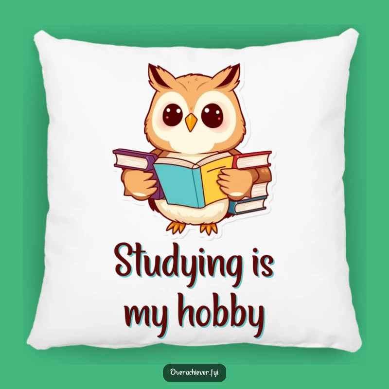 Funny Owl Pillow: Cozy Comfort for the Dedicated Scholar with a Sense of Humor